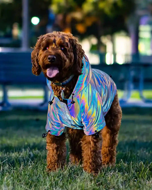 FlashPup® - Chaqueta ultrarreflectante para perros