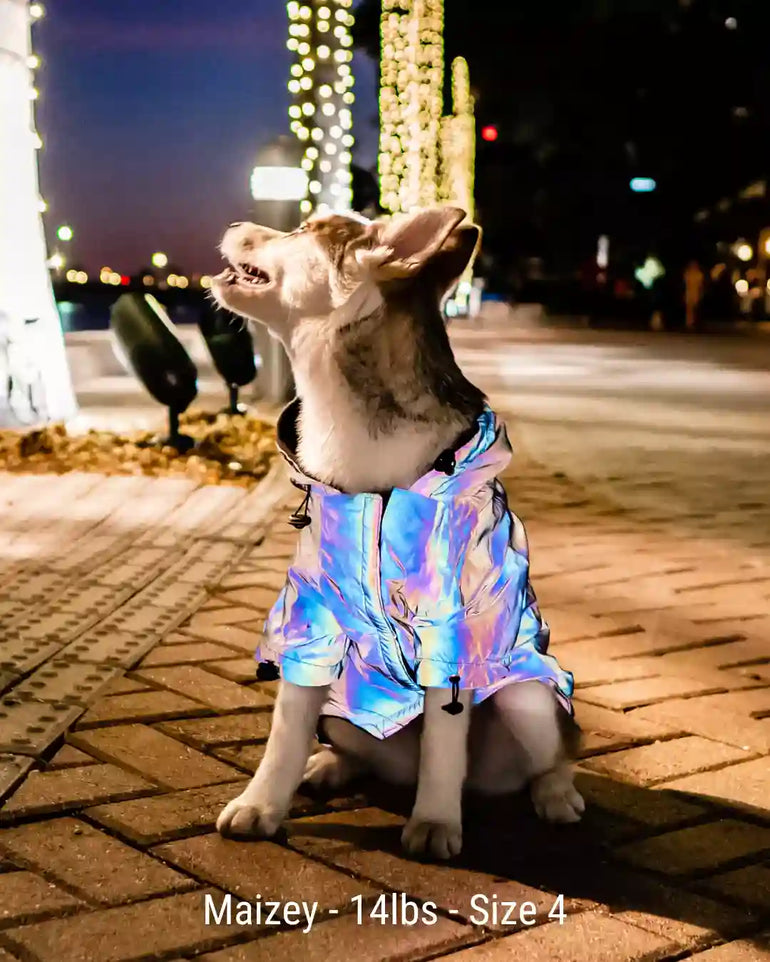 FlashPup® - Chaqueta ultrarreflectante para perros