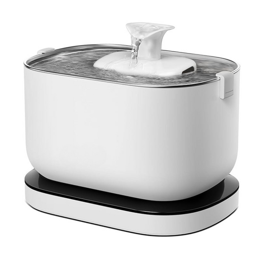 Pawtain® – Fuente de agua automática para gatos