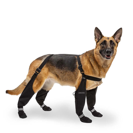 StriderGuard® – Water-Resistant Dog Boots with Suspenders